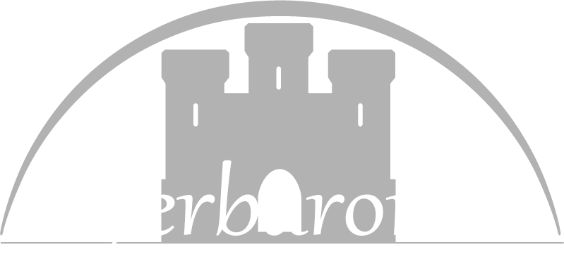 FB_Logo_Weiße_Schrift